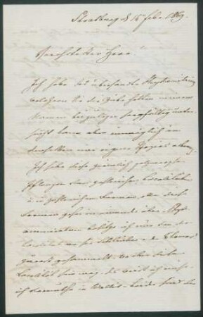 Wilhelm Philipp Schimper, Brief
