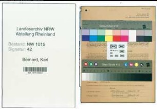 Entnazifizierung Karl Bernard , geb. 21.08.1898 (Maler)