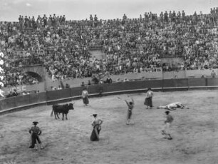 Stierkampf in Inca : Aufnahme eines Stierkampfes in der Stierkampfarena in Inca
