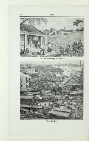 34. Tee-Pflanzung in China