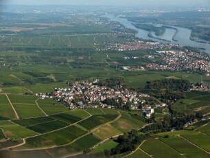 Johannisberg bei Geisenheim (Pfalz)
