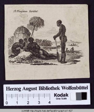 3te Menschen-Varietät: Die Aethiopische
