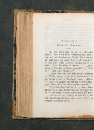 Sechszehntes Kapitel. Eine Entführung.