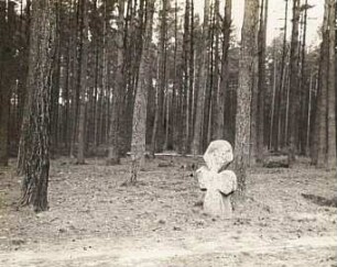 Oberlausitz. Bei Königswartha-Johnsdorf. Sühnekreuz, Inv.-Nr. D 24
