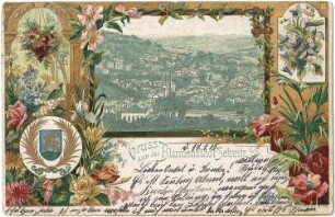 Sebnitz. Blick auf die Stadt, kolorierte Ansichtskarte