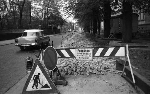 Anlegung eines Parkstreifens in der Lammstraße zwischen Erbprinzenstraße und Nymphengarten.