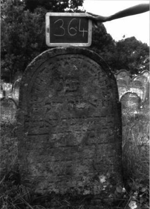 Grabstein 364 (Index: 100103020) Material: Sandstein Zustand: stark verwittert, eingesunken, weitgehender Textverlust Maße HxBxT: 95x57x10 cm Beschreibung: Stele, eingezogener Rundbogenabschluss, Schriftfeld eingetieft: Grabstein 364