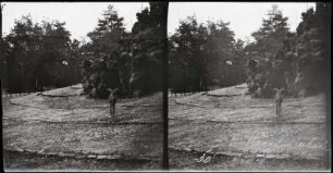 Paris. Bois de Boulogne. Jardin d'Acclimatation. Steinbockgehege