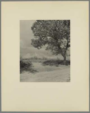 Landschaft