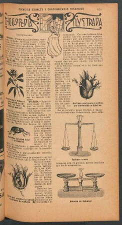 Enciclopedia ilustrada - (Continuación) : Ciencias usuales y conocimientos prácticos