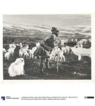 Norge. Lapp med renhjord (Same mit Renhirsch)