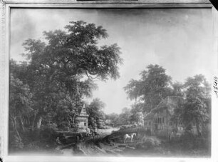 Der Wald von Haarlem