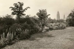 Dresden. Blick von einer Grünanlage an der Grunaer Straße gegen Rathausturm und Turm der Kreuzkirche