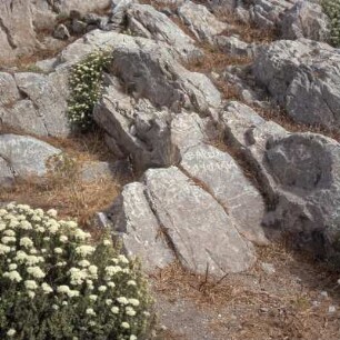Alt-Thera. Apollon-Heiligtum. Phallische Inschrift, 7. Jh., bei der Tanzterrasse am Apollon-Heiligtum
