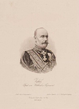 Bildnis von Georg Viktor Fürst von Waldeck und Pyrmont (1831-1893)