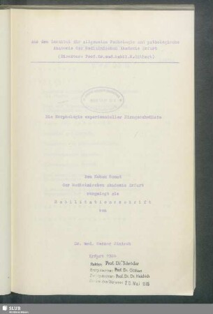 Die Morphologie experimenteller Hirngeschwülste