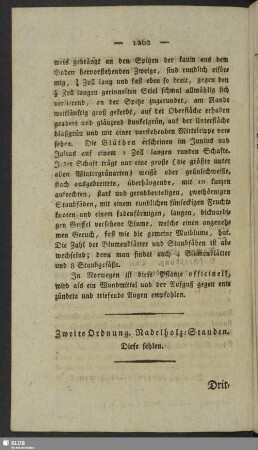 Zweite Ordnung. Nadelholz-Stauden