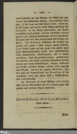 Zweite Ordnung. Nadelholz-Stauden