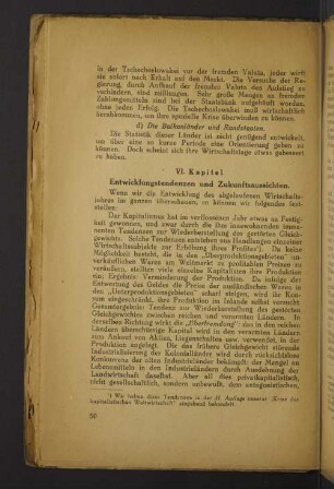 VI. Kapitel. Entwicklungstendenzen und Zukunftsaussichten.