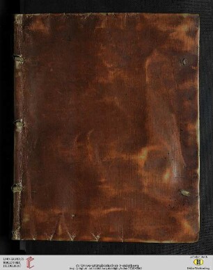 Originvm Palatinarvm Commentarivs : De gentis & dignitatis eius primordiis ; tum Heidelbergae & vicini tractus antiquitate