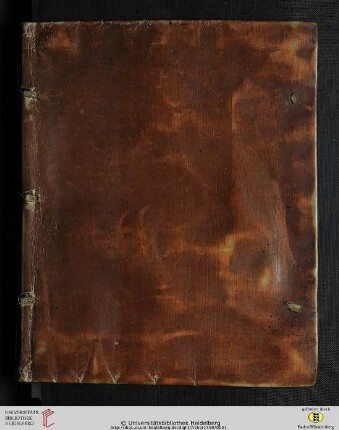 Originvm Palatinarvm Commentarivs : De gentis & dignitatis eius primordiis ; tum Heidelbergae & vicini tractus antiquitate