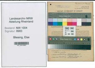 Entnazifizierung Else Bliesing , geb. 21.02.1903 (Telefonistin)