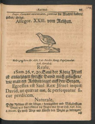 Allegor. XXIII. vom Rebhun.