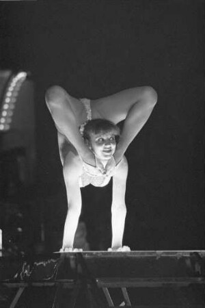 Gastspiel des Zirkus Barum auf dem Messplatz in Karlsruhe