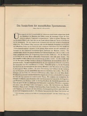 Die Sonderform der menschlichen Spermatozoen.