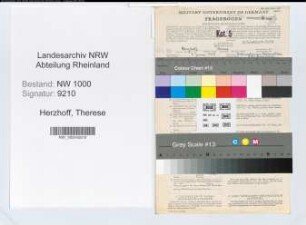 Entnazifizierung Therese Herzhoff, geb. 09.06.1913 (Studienassessorin)