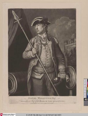 David Wooster Esqr.
