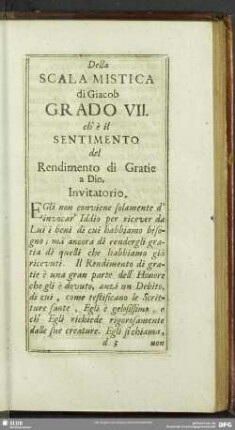 Grado VII