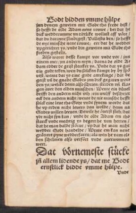 Dat vörnemeste stücke in[n] allem lidende ys/ dat me Godt ernstlick bidde umme hülpe.