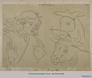 Ein Hirte sowie ein Ochse und ein Esel (nach Peruginos Anbetung des Kindes in der Pinacoteca in Perugia)