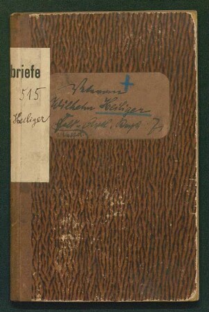 Tagebuch 1866 und 70-71