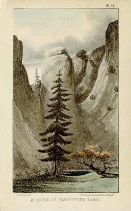 Spring at Inscription Rock