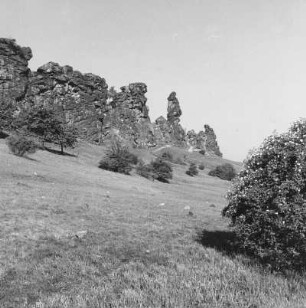 Nördliches Harzvorland. Neinstedter Teufelsmauer. Ansicht von Westen