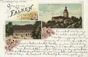 Ansichtskarte: Gruss vom Falken Selkethal Harz.