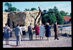 Zoo 24.5.69.