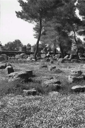 Reisefotos Griechenland. Ruine des Zeustempels
