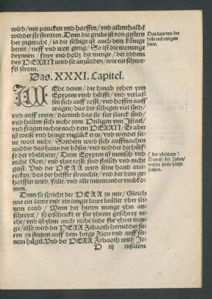 Das .XXXI. Capitel. - Das .XL. Capitel.