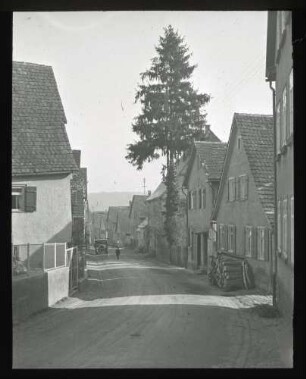 Fichte