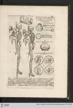 14 Est hic lapis pede longus et latus bessem