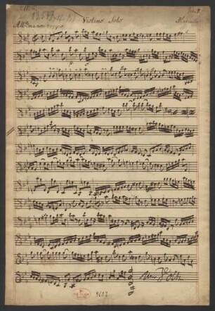 Violino solo
