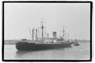 Heidelberg (1953)