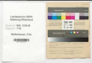 Entnazifizierung Fritz Mollenhauer , geb. 25.05.1900 (Ingenieur)