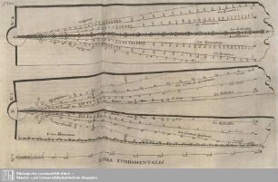 Lines Fundamentalis.