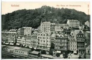 Karlsbad. Alte Wiese mit Hirschensprung über Hotel Metropole