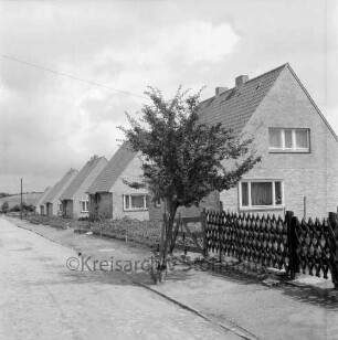 Carl-Harz-Straße: Neubausiedlung mit Einfamilienhäusern: davor Vorgärten: rechts Jägerzaun und Baum