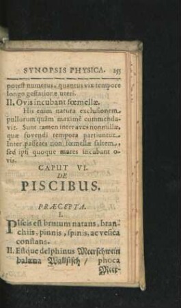 Caput VI. De Piscibus.